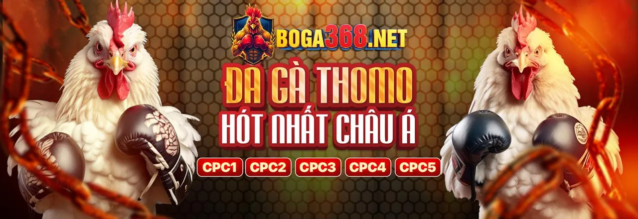 Đá Gà Trực Tuyến ibet88 app